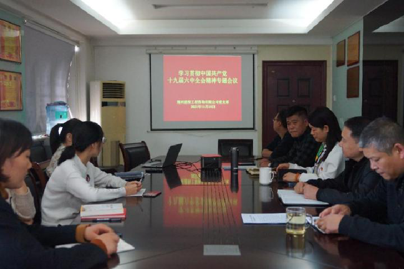 咨詢(xún)黨支部召開(kāi)學(xué)習(xí)貫徹中國(guó)共產(chǎn)黨十九屆六中全會(huì)精神專(zhuān)題會(huì)議